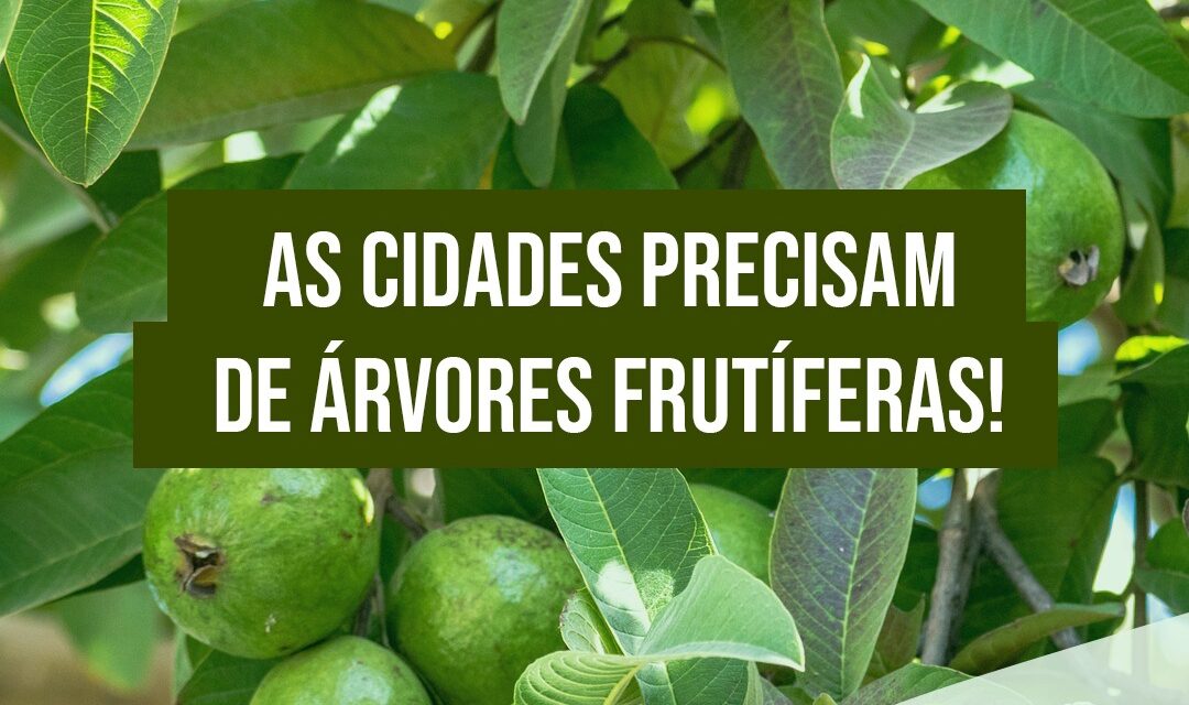 As cidades precisam de mais árvores frutíferas!
