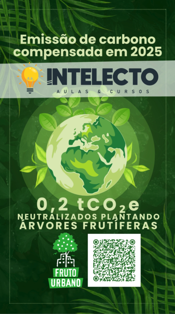 Canal da Ilha - Modelo de Reels - Escola Intelecto