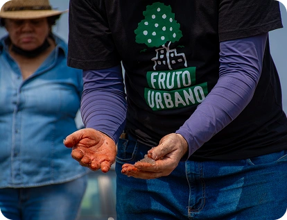 Close-up das mãos sujas de terra de um voluntário vestindo a camiseta 'Fruto Urbano', segurando pequenas sementes ou insumos, simbolizando o início do processo de reflorestamento urbano.