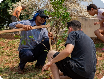Dois voluntários trabalham juntos para fixar o tutor de madeira ao lado de uma muda recém-plantada, garantindo que a árvore cresça reta e protegida em sua nova área no pomar público.