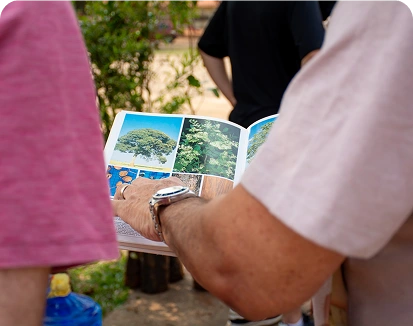 Fruto Urbano - Como Organizar Um Plantio