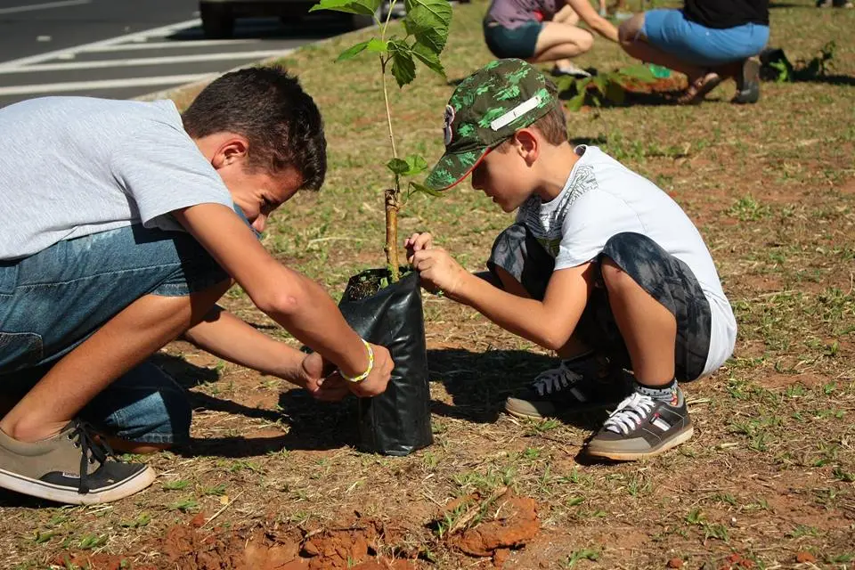 Fruto Urbano - Organizando um plantio de árvores