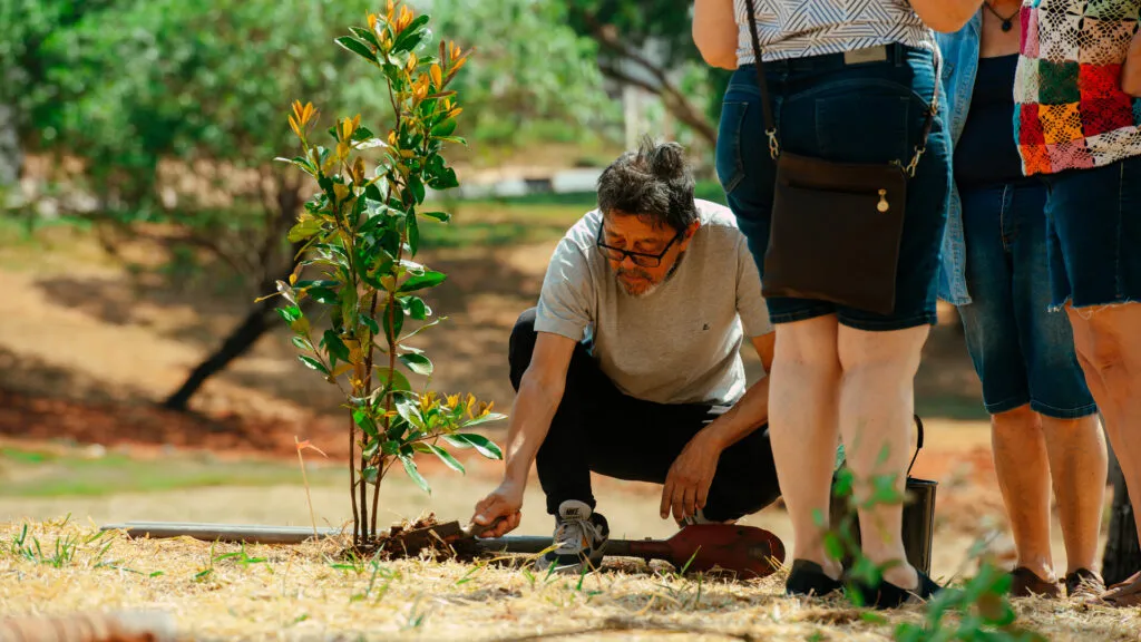 Fruto Urbano - Praça dos Flamboyant (10)