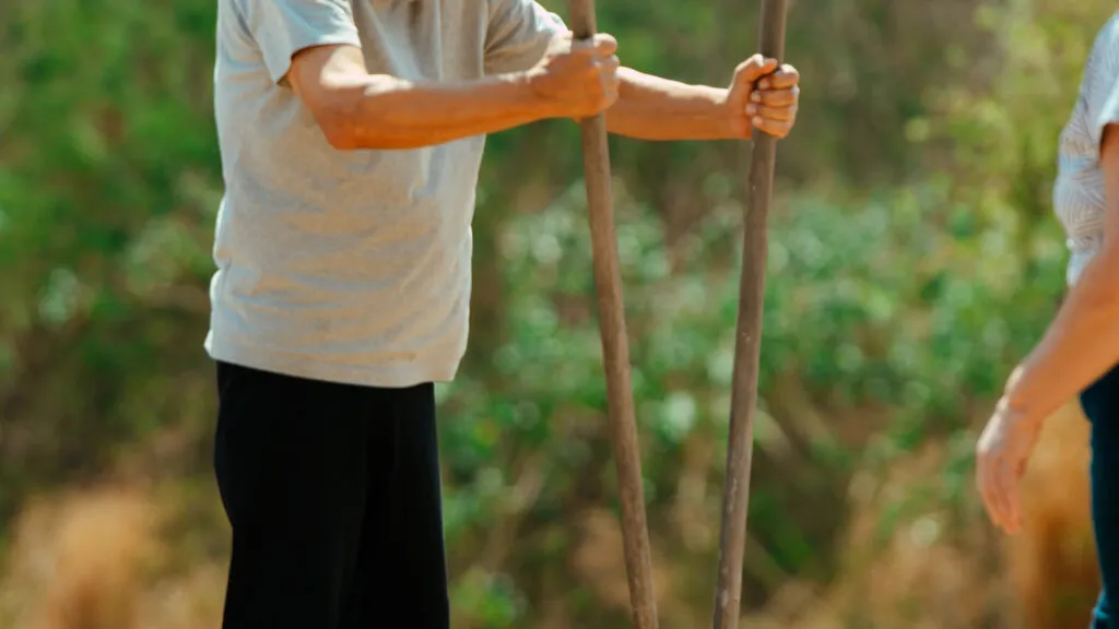 Parcerias com Prefeituras para Arborização Urbana
