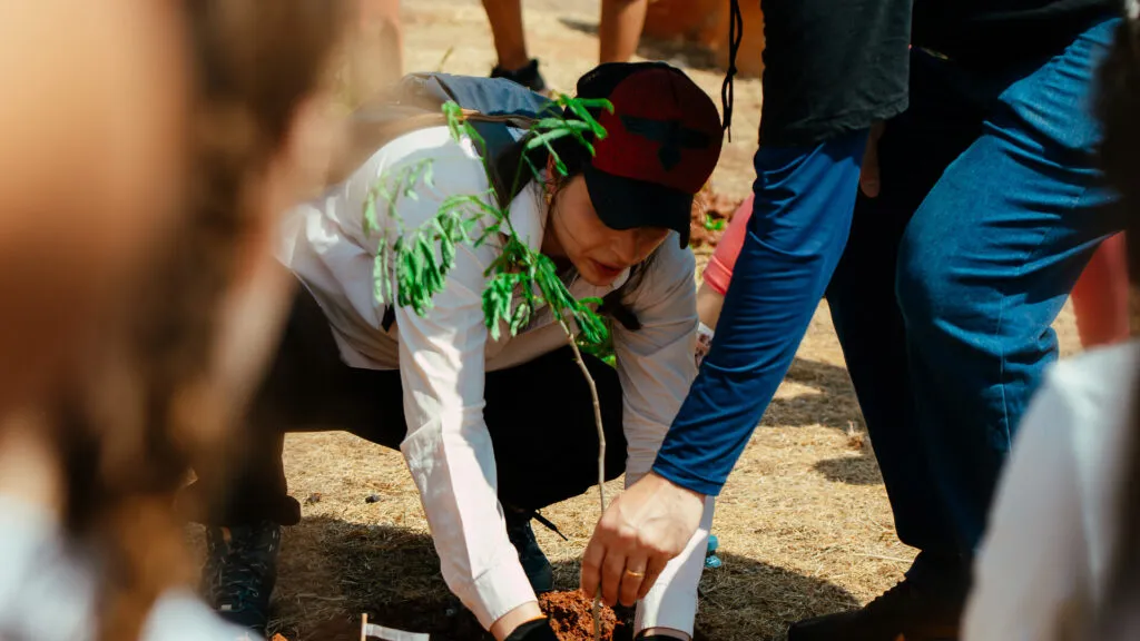 Fruto Urbano - Praça dos Flamboyant (23)