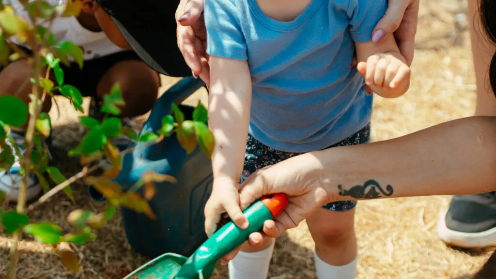 Fruto Urbano - Praça dos Flamboyant (33)