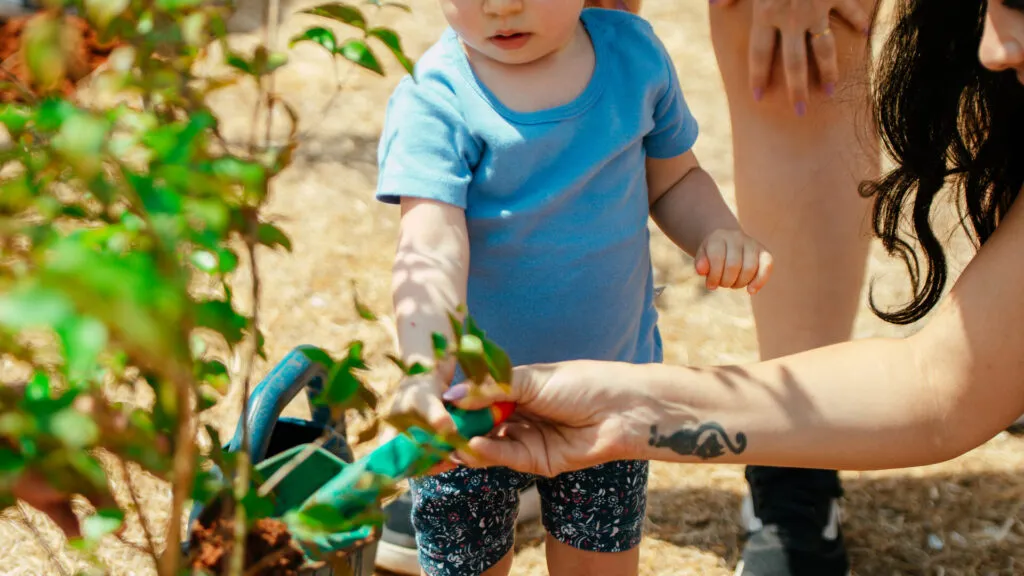 Fruto Urbano - Praça dos Flamboyant (34)