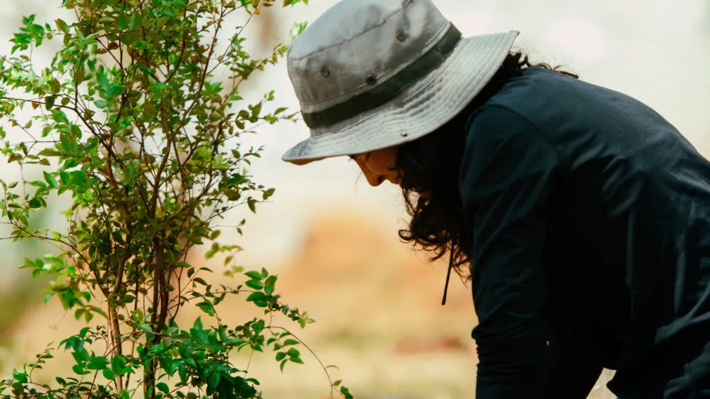 Fruto Urbano - Praça dos Flamboyant (41)