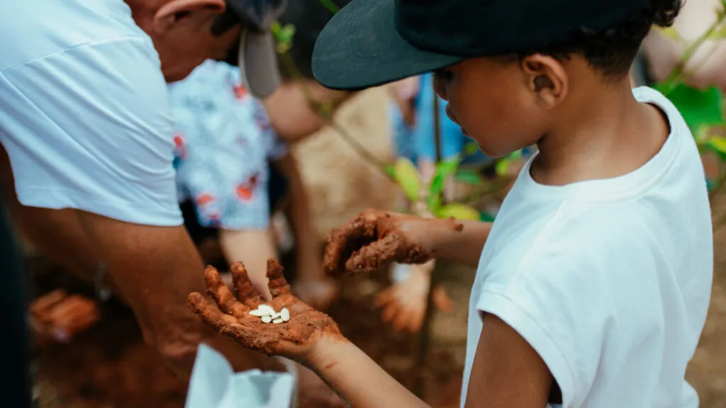 Fruto Urbano - Praça dos Flamboyant (45)
