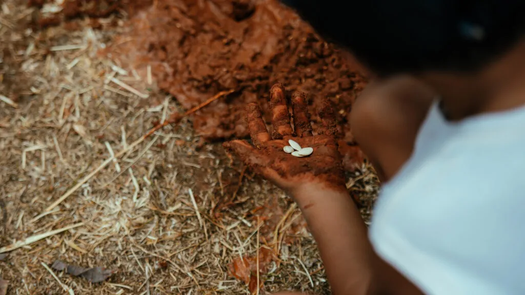 Fruto Urbano - Praça dos Flamboyant (46)