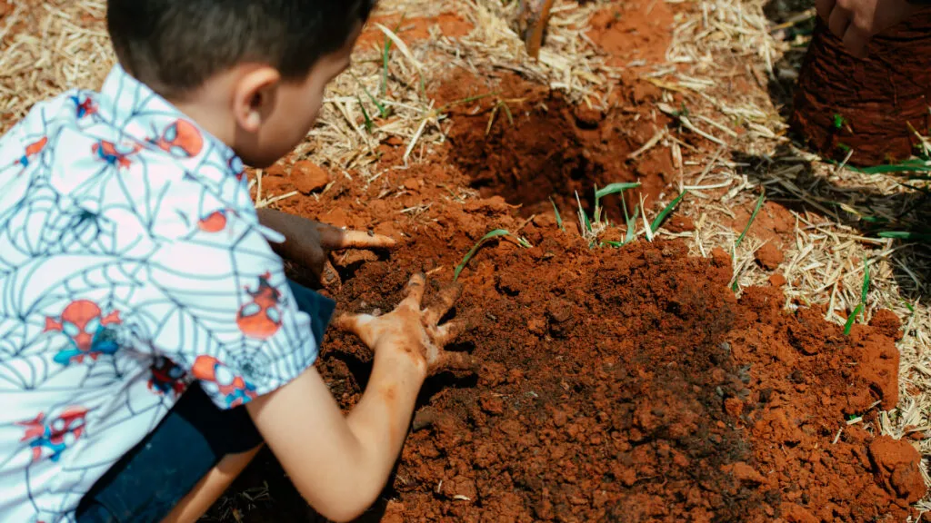 Fruto Urbano - Praça dos Flamboyant (48)