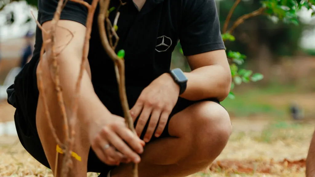 Fruto Urbano - Praça dos Flamboyant (51)