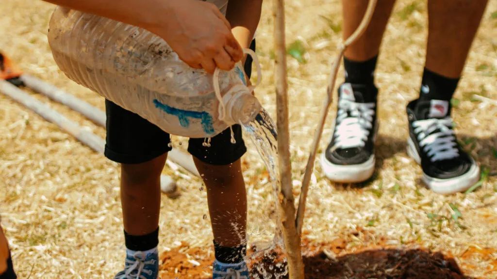 Fruto Urbano - Praça dos Flamboyant (54)