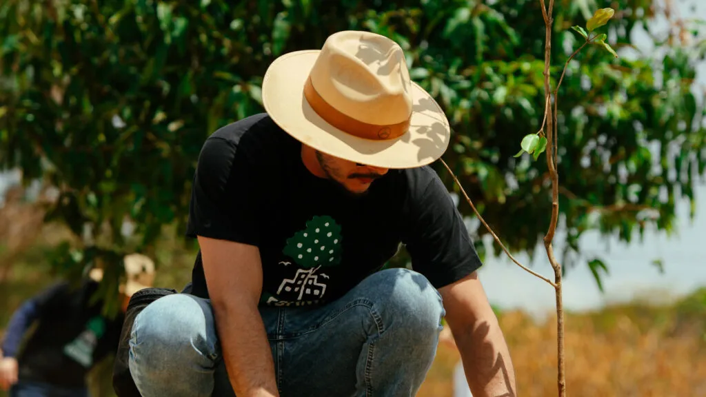 Fruto Urbano - Praça dos Flamboyant (59)