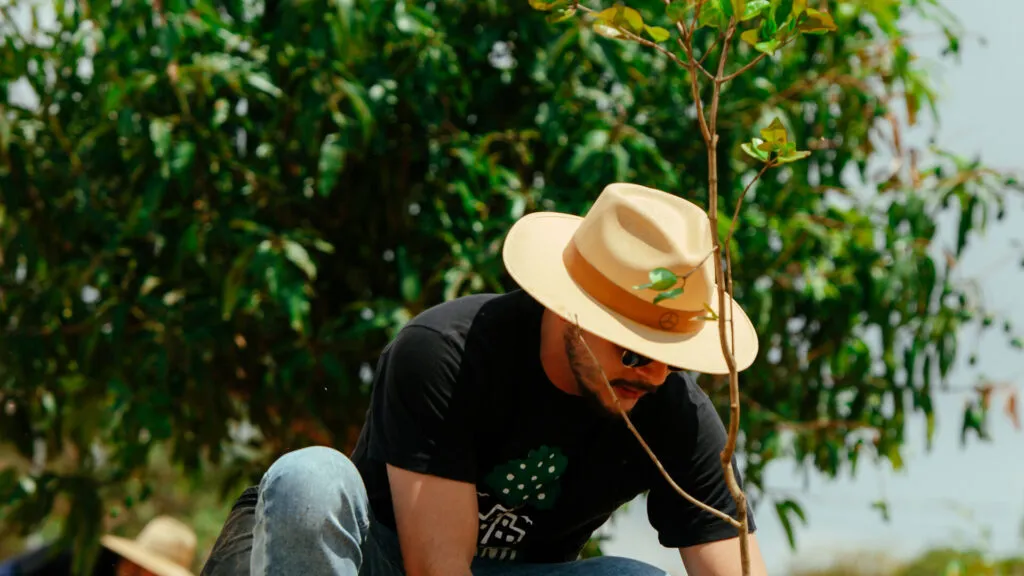 Fruto Urbano - Praça dos Flamboyant (60)