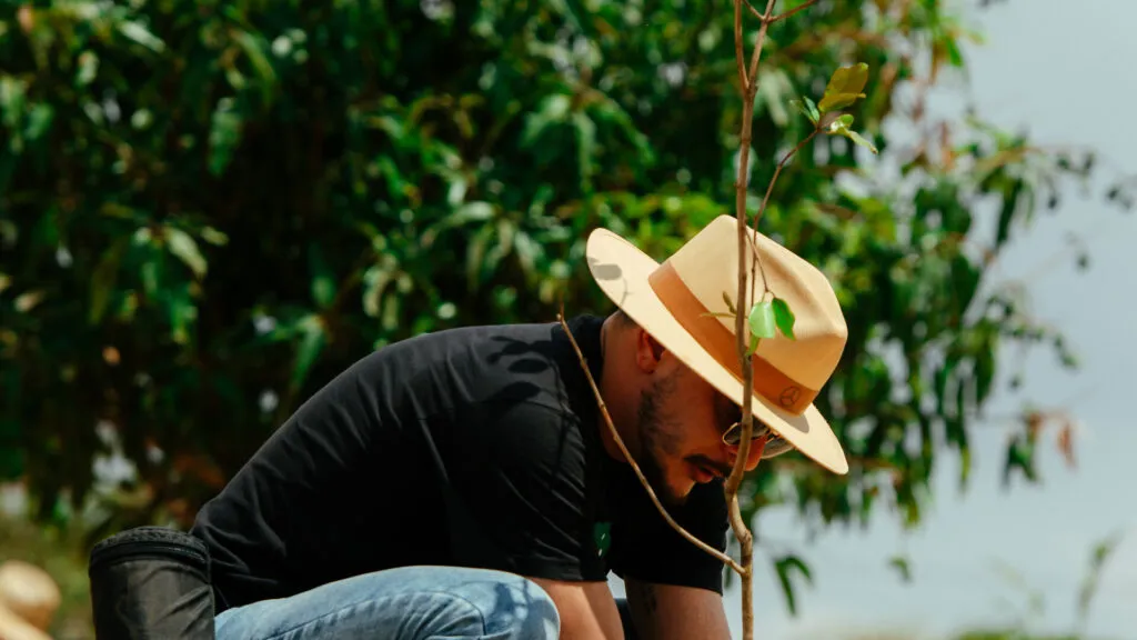 Fruto Urbano - Praça dos Flamboyant (61)