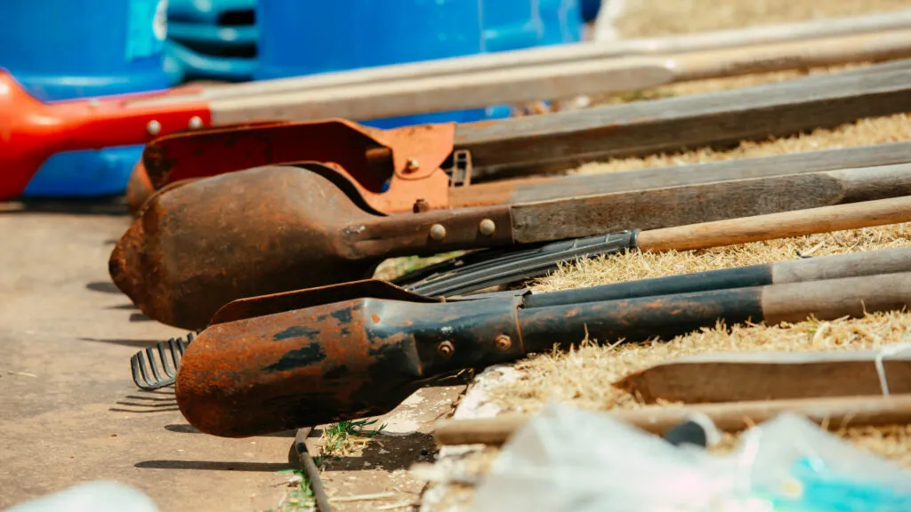 Fruto Urbano - Praça dos Flamboyant (63)