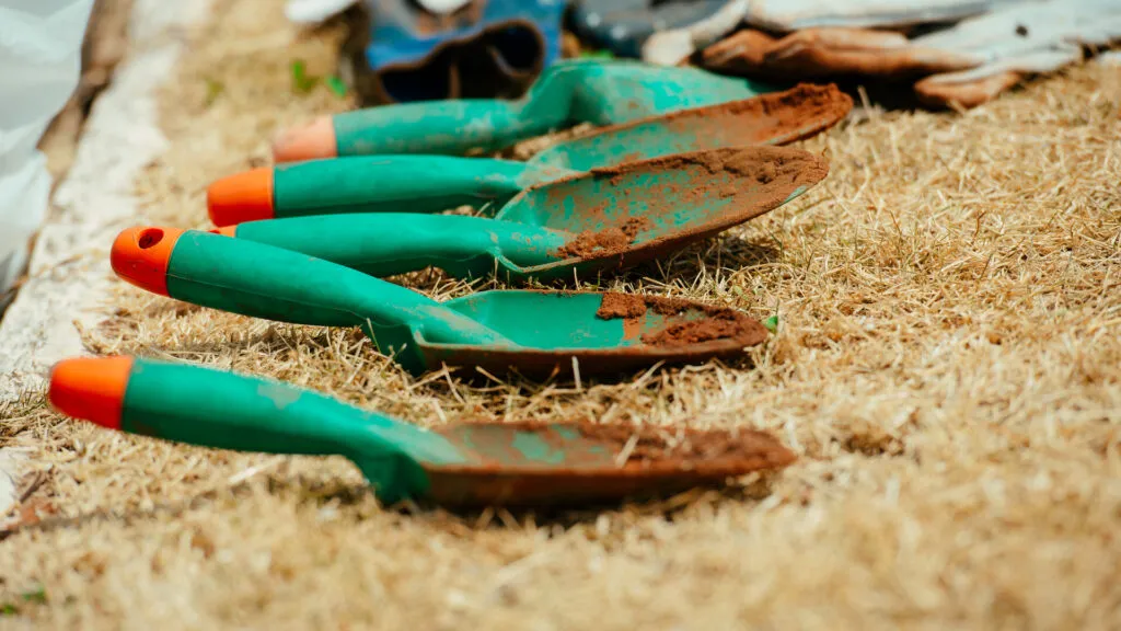 Fruto Urbano - Praça dos Flamboyant (64)