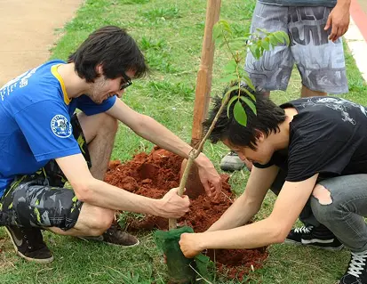 Fruto Urbano - Como Participar 2