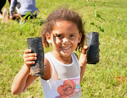 Fruto Urbano - Como Participar 3
