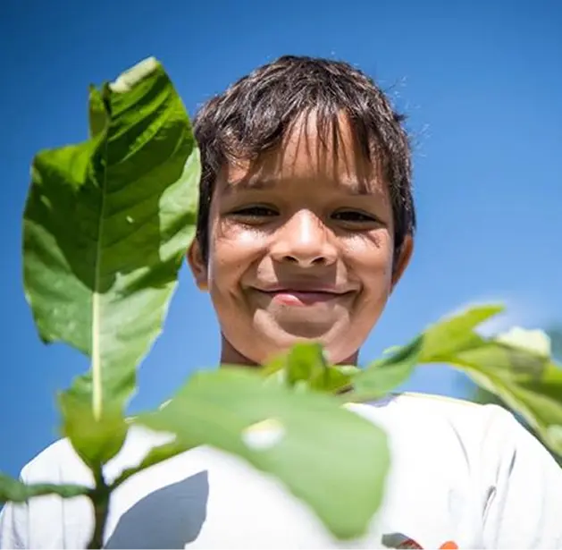 Fruto Urbano - Nosso Método para Cidades Mais Verdes