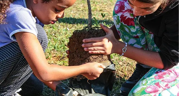 Fruto Urbano - Voluntariado e Coletivo