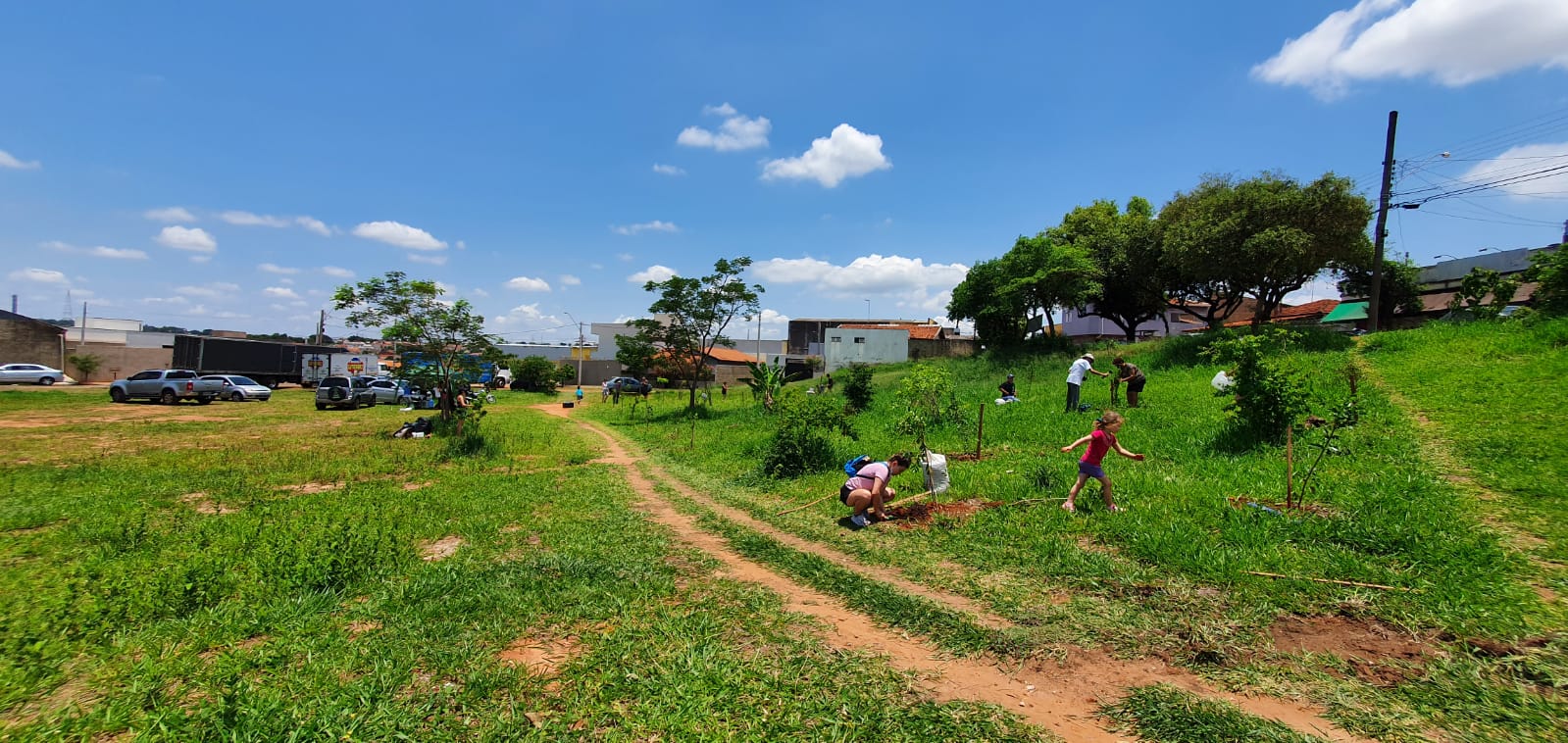 Voluntários cuidam das mudas na área verde do Parque São Geraldo