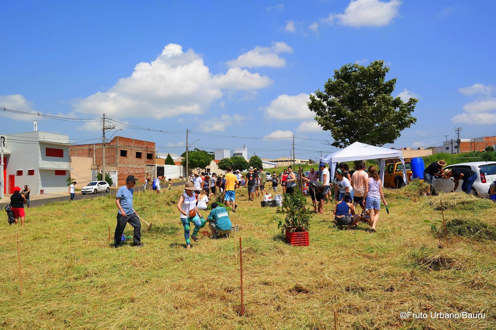 Registro do plantio na Praça Oswaldo Brittes, do acervo Fruto Urbano