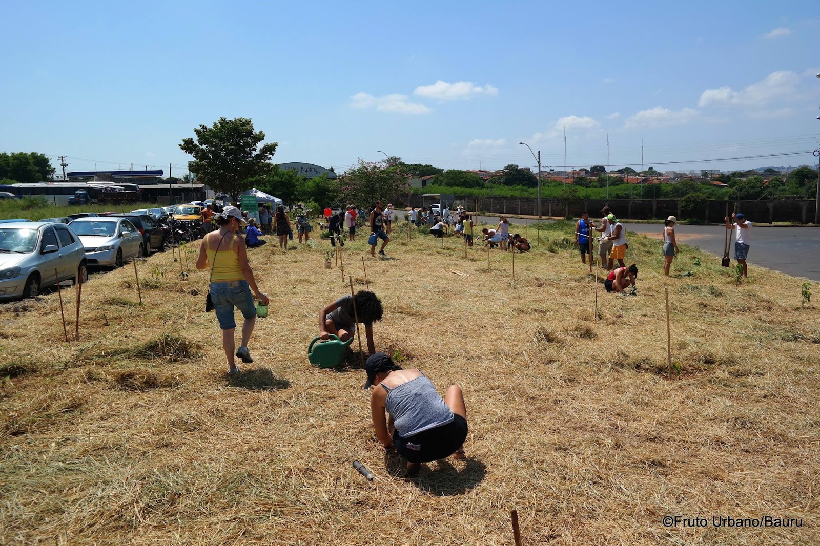 Registro da mobilização na Praça Oswaldo Brittes, do acervo Fruto Urbano