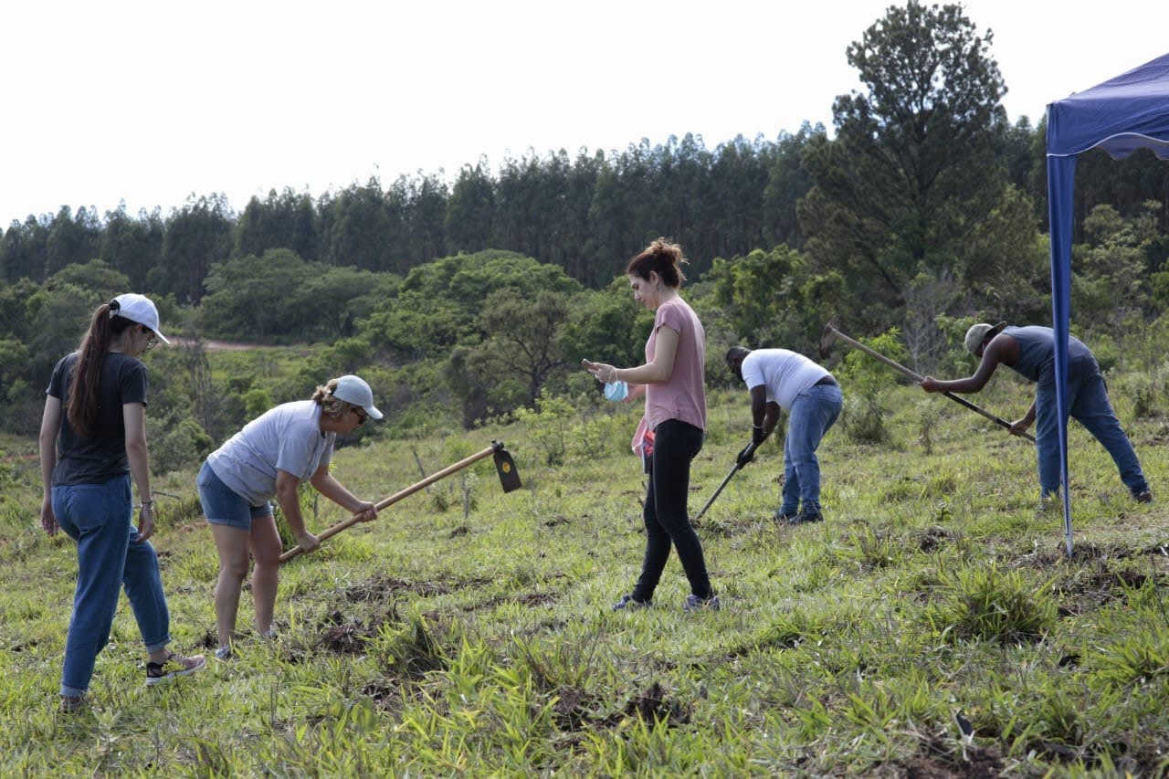Voluntários preparando o solo durante o mutirão